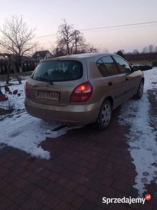 Używany 2004 Nissan Almera | 2800 zł (Uczciwa cena) - Obraz 1/4