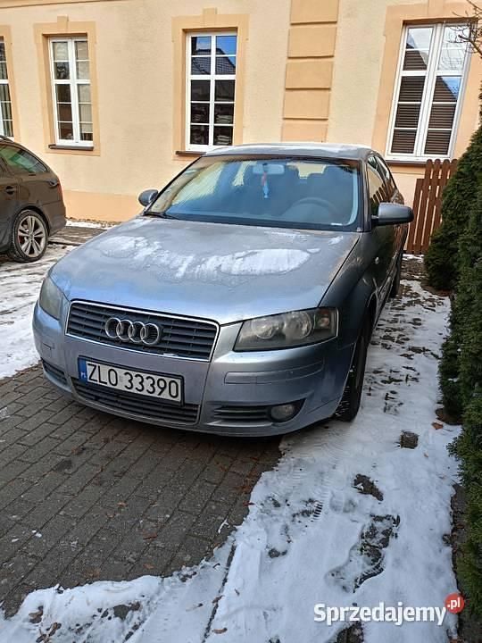 Szary Używany 2004 Audi A3 Hatchback | 5400 zł (Uczciwa cena) - Obraz 1/4