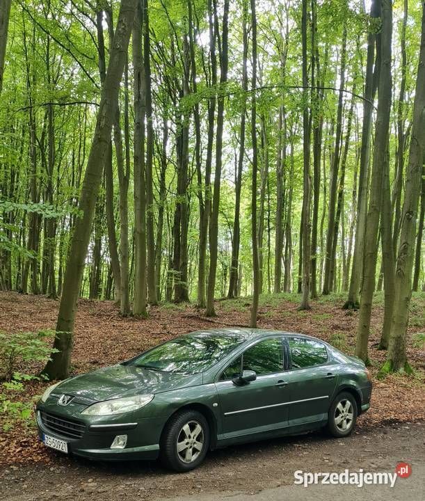 Używany 2007 Peugeot 407 | 4500 zł (Dobra cena) - Obraz 1/4