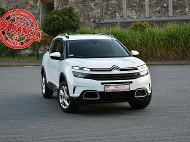 Używany Citroën C5 130 KM (95 kW) 2019 Biały Minivan