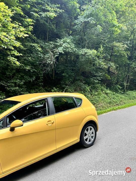 Używany Seat Leon 105 KM (77 kW) 2007 Hatchback