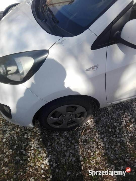 Używany Kia Picanto 69 KM (50 kW) 2014 Biały Hatchback