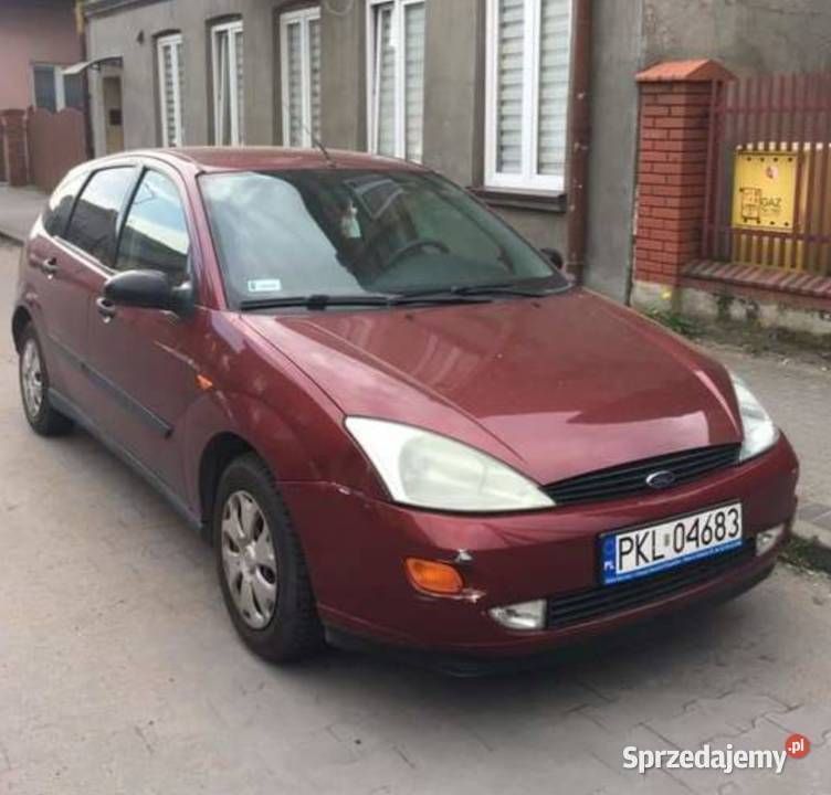Bordowy Używany 1998 Ford Focus Hatchback | 3000 zł (Uczciwa cena) - Obraz 1/2