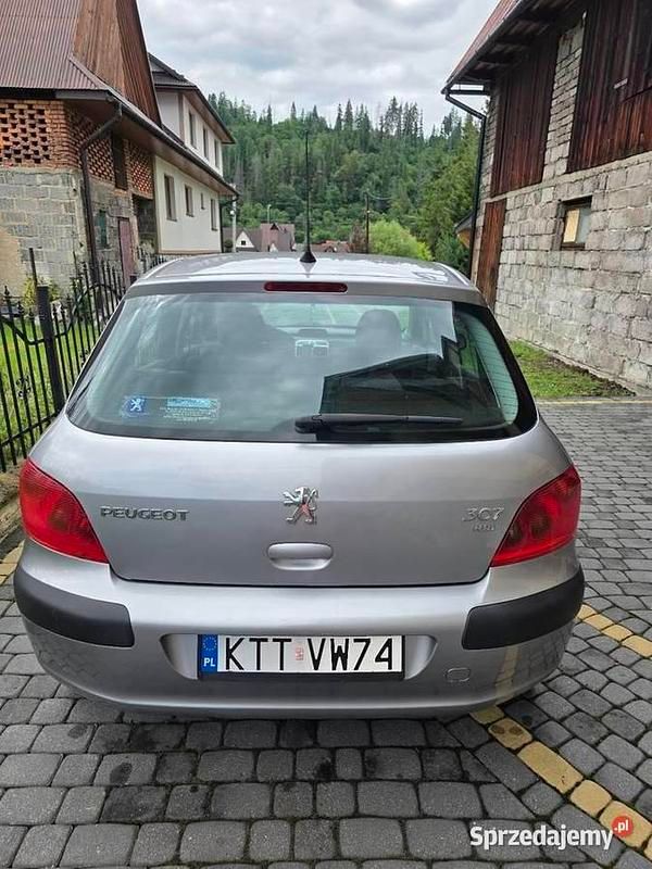 Srebrny Używany 2003 Peugeot 307 Hatchback | 8500 zł (Drogi) - Obraz 1/4