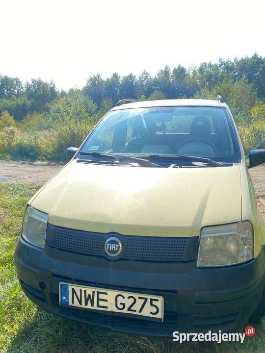 Używany 2005 Fiat Panda Hatchback | 1100 zł (Dobra cena) - Obraz 1/4