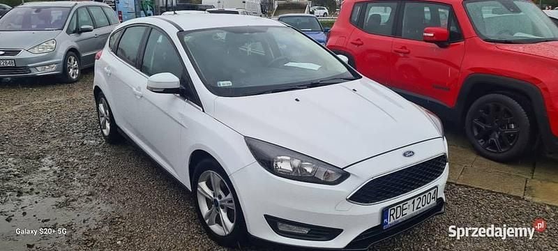 Używany Ford Focus 2016 Biały Hatchback