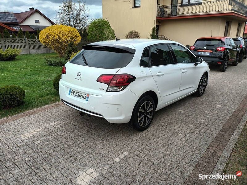 Obraz 2/4