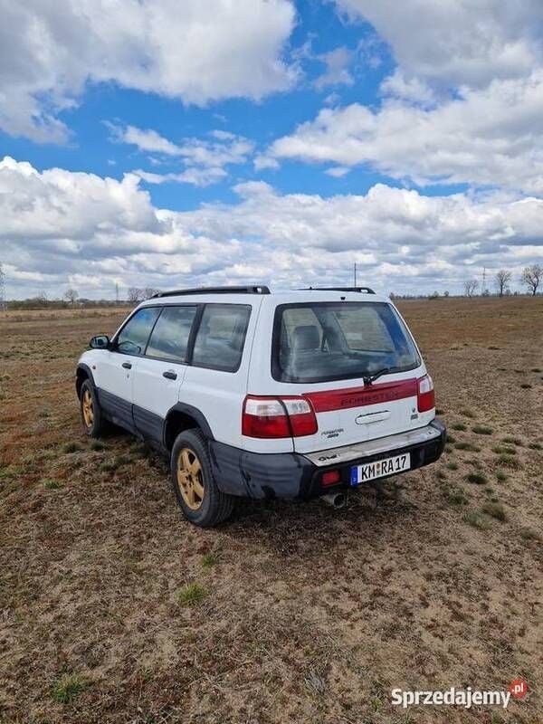 Biały Używany 2002 Subaru Forester SUV | 8000 zł - Obraz 1/4