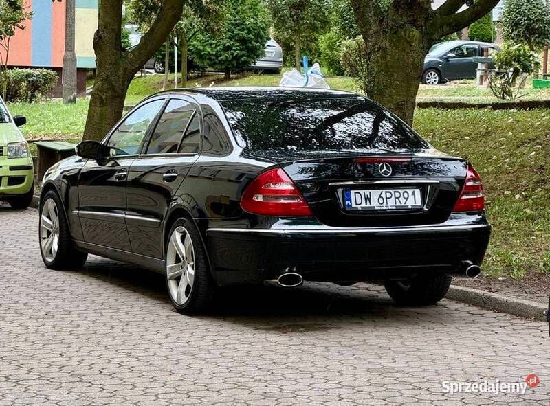 Obraz 4