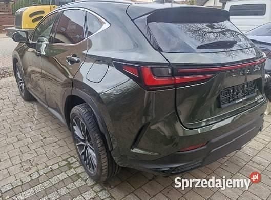 Używany Lexus NX350h 2025