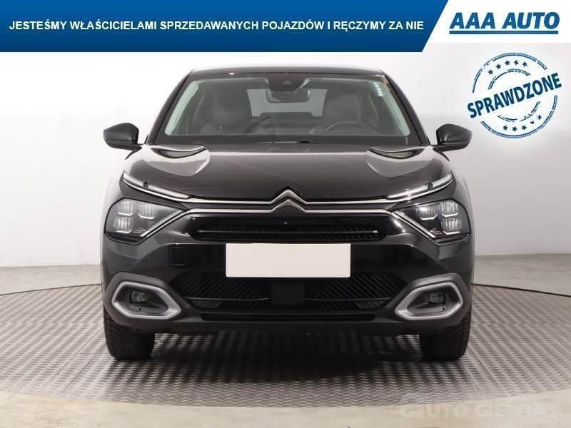 Obraz 2/4