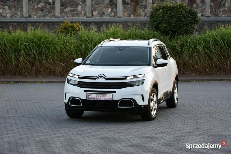 Używany Citroën C5 Aircross 2019 Biały SUV