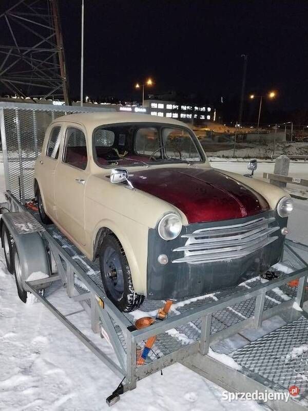 Używany 1954 Fiat 1100 | 22 000 zł - Obraz 1/2