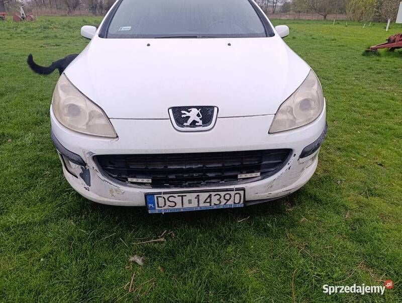 Biały Używany 2006 Peugeot 407 Sedan/Limuzyna | 4300 zł (Dobra cena) - Obraz 1/4