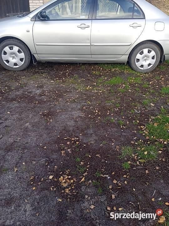 Używany 2004 Toyota Corolla | 8000 zł (Uczciwa cena) - Obraz 1/4
