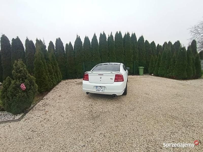 Używany Dodge Charger 2006 Biały Sedan/Limuzyna