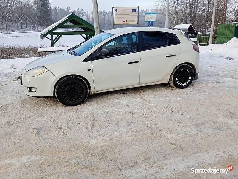 Biały Używany 2008 Fiat Bravo Hatchback | 6200 zł (Dobra cena) - Obraz 1/4