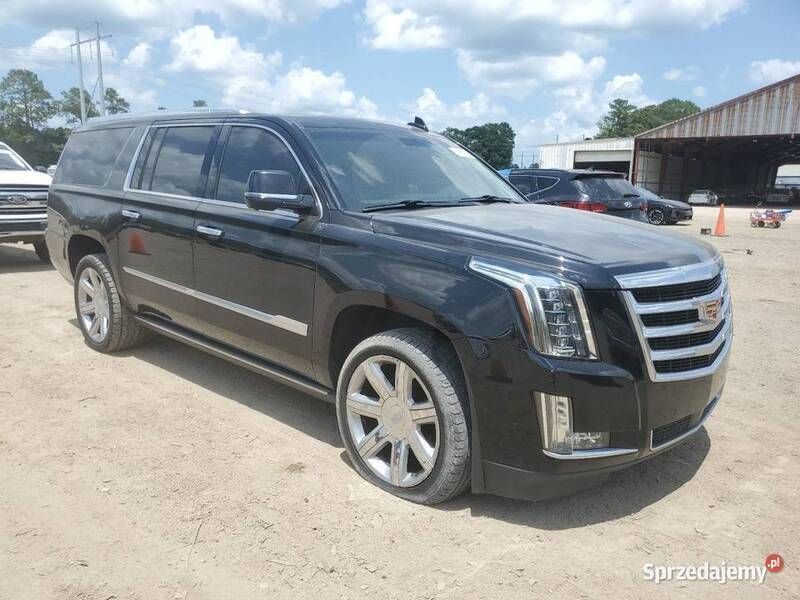 Używany Cadillac Escalade 2019 SUV