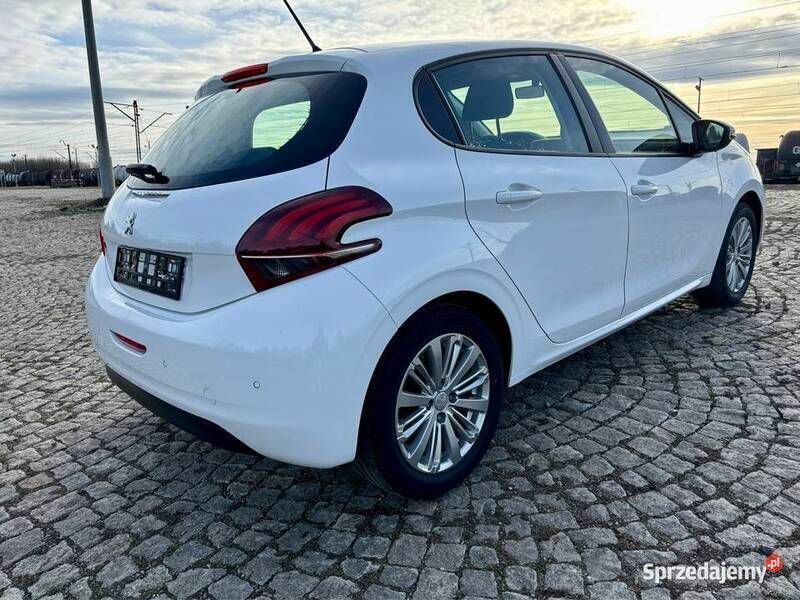 Obraz 3