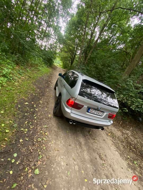 Używany BMW X5 2001 Srebrny SUV