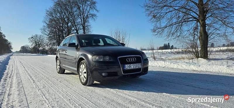 Czarny Używany 2005 Audi A3 Ambition Hatchback | 11 900 zł (Uczciwa cena) - Obraz 1/4