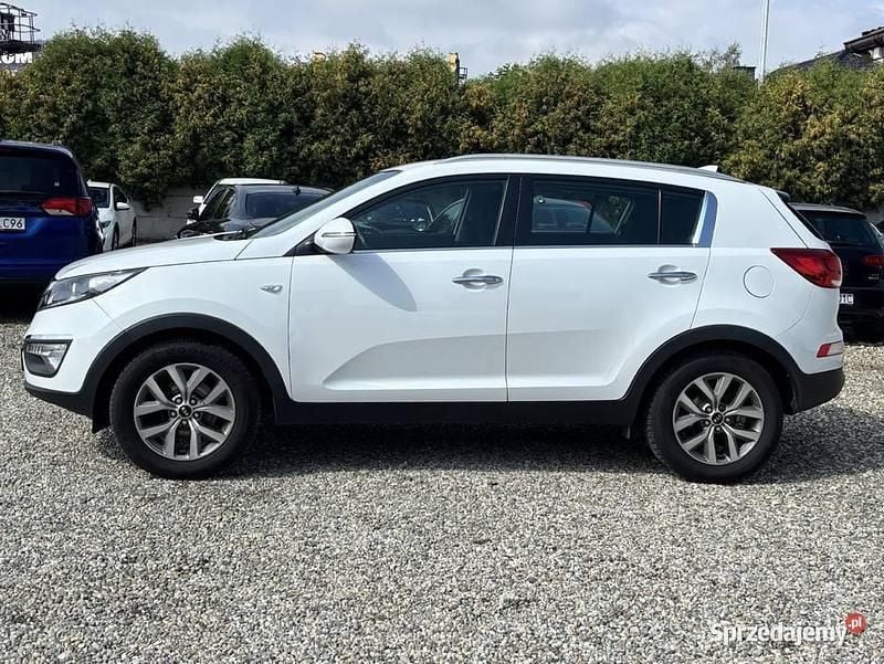 Używany Kia Sportage 2014 Biały SUV