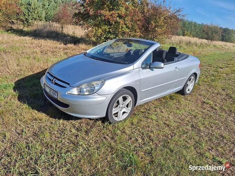 Używany Peugeot 307 2004