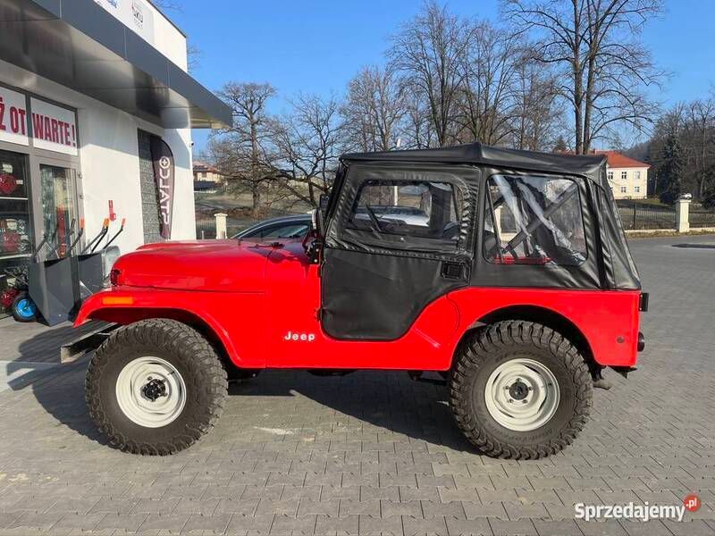 Używany 1971 Jeep CJ | 100 000 zł - Obraz 1/4