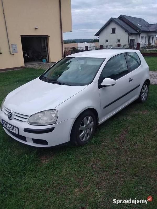 Biały Używany 2004 VW Golf V Hatchback | 4500 zł (Uczciwa cena) - Obraz 1/4