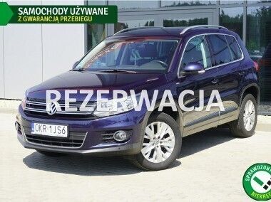 Niebieski Używany 2013 VW Tiguan SUV | 54 999 zł (Uczciwa cena) - Obraz 1/3
