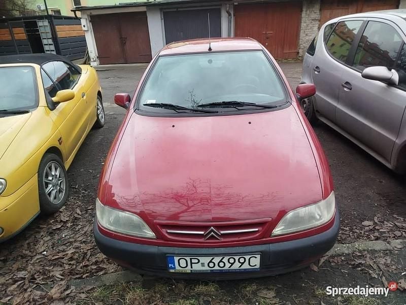 Używany Citroën Xsara 1998