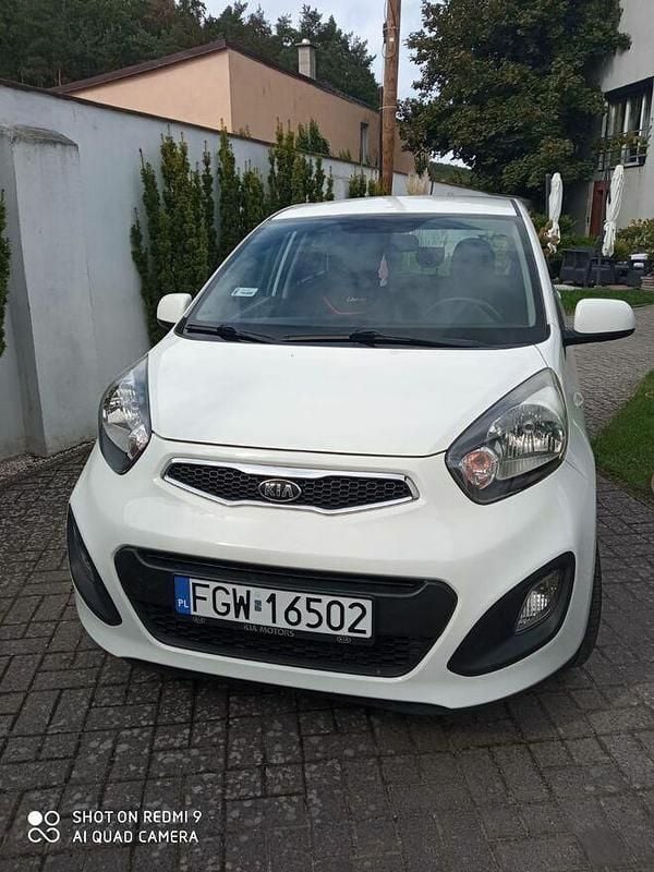 Biały Używany 2013 Kia Picanto Hatchback | 17 000 zł (Super Cena) - Obraz 1/4