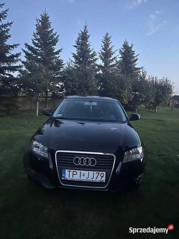 Czarny Używany 2009 Audi A3 Hatchback | 22 500 zł (Uczciwa cena) - Obraz 1/4