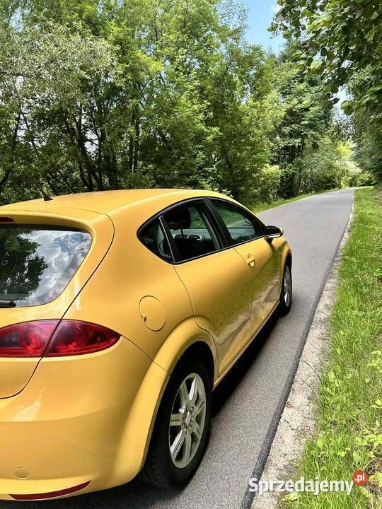 Używany Seat Leon 105 KM (77 kW) 2007 Hatchback