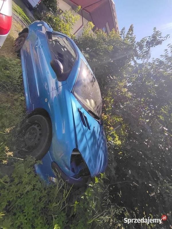 Używany 2004 Peugeot 206 CC Kabriolet | 800 zł (Uczciwa cena) - Obraz 1/1