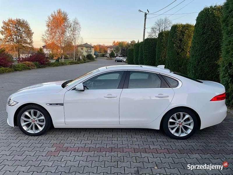Używany Jaguar XF 247 KM (181 kW) 2019 Biały Sedan/Limuzyna