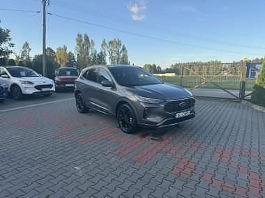 Szary Używany 2023 Ford Escape ST-Line SUV | 116 000 zł - Obraz 1/4