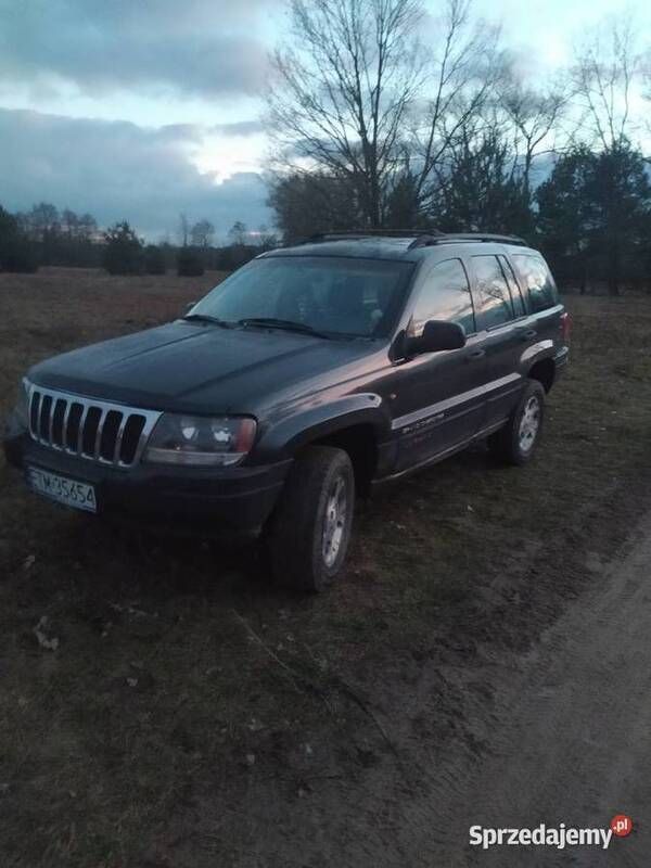 Zielony Używany 1999 Jeep Grand Cherokee SUV | 11 800 zł (Drogi) - Obraz 1/4