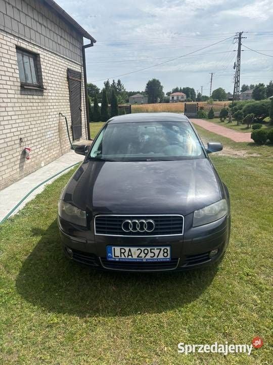 Czarny Używany 2003 Audi A3 Hatchback | 8000 zł (Uczciwa cena) - Obraz 1/4
