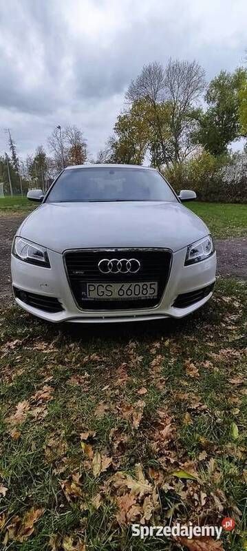 Używany 2010 Audi A3 S-Line | 23 000 zł (Uczciwa cena) - Obraz 1/4