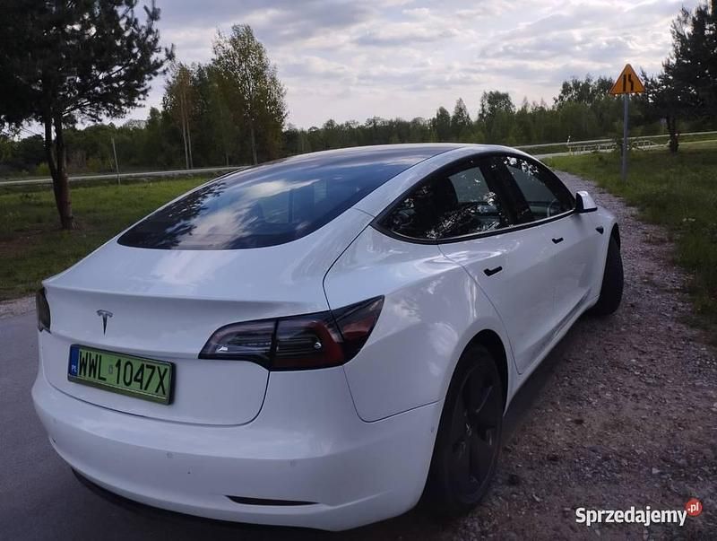 Używany Tesla Model 3 Standard Range Plus 208 kW (283 KM) 2021 Sedan/Limuzyna