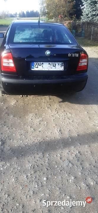 Używany 2005 Skoda Octavia | 6500 zł (Uczciwa cena) - Obraz 1/4