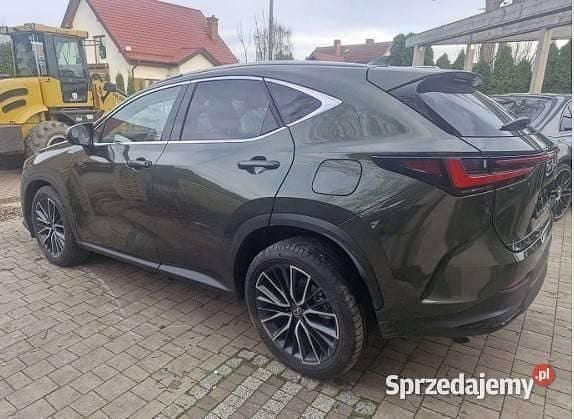 Używany Lexus NX350h 2025