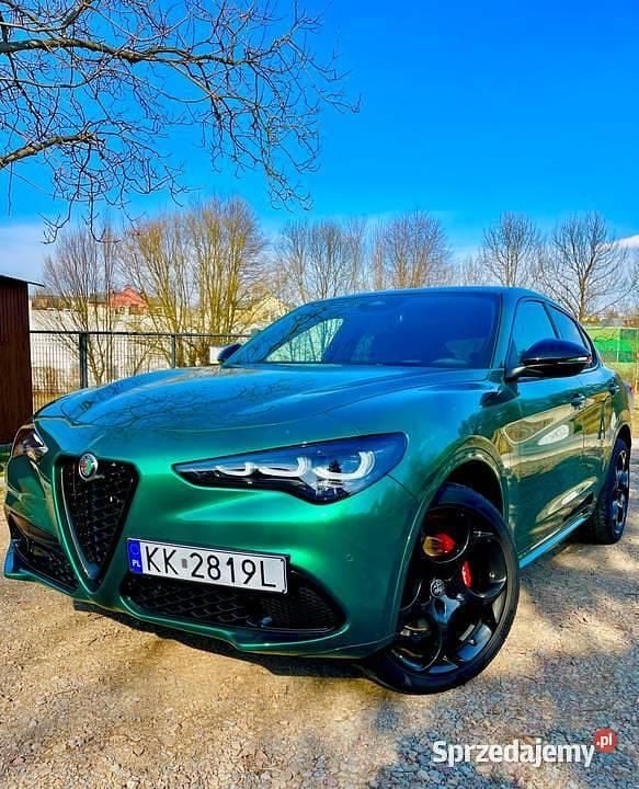 Używany Alfa Romeo Stelvio Ti 280 KM (205 kW) 2024 SUV