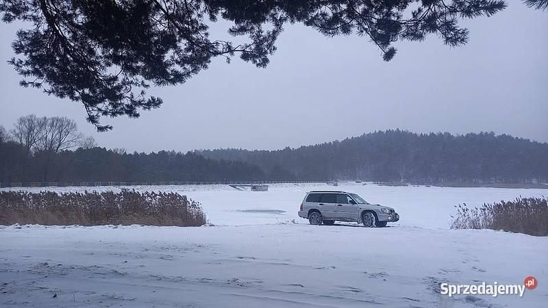 Srebrny Używany 2000 Subaru Forester SUV | 13 500 zł - Obraz 1/4