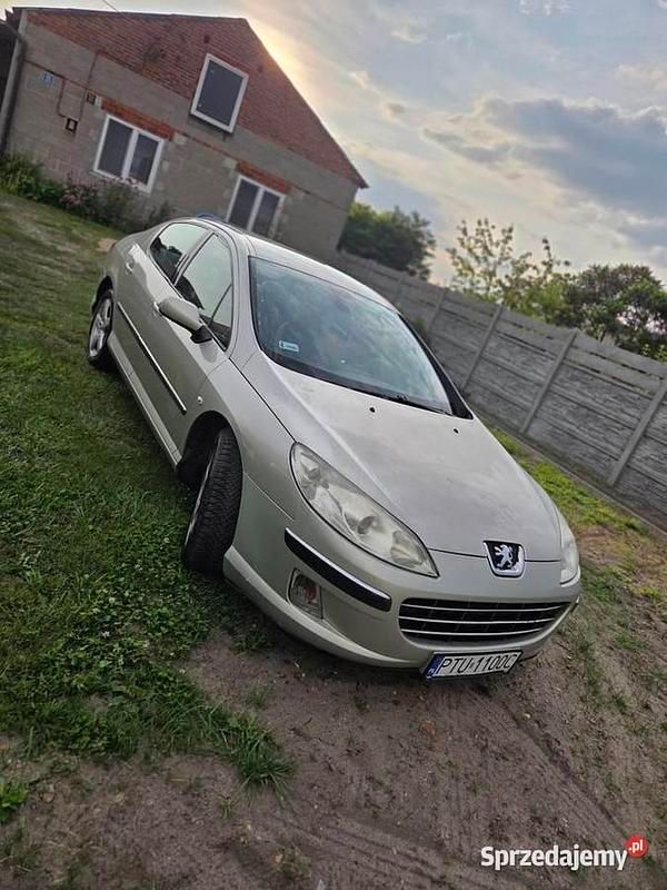 Złoty Używany 2005 Peugeot 407 Sedan/Limuzyna | 5500 zł (Uczciwa cena) - Obraz 1/4