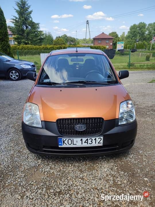 Pomarańczowy Używany 2005 Kia Picanto LX Hatchback | 3500 zł (Dość drogi) - Obraz 1/4