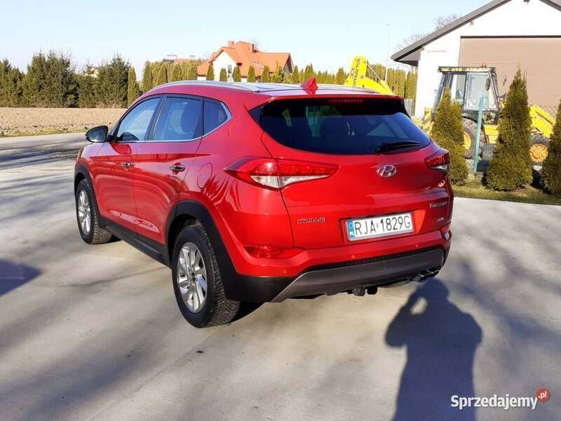 Obraz 2