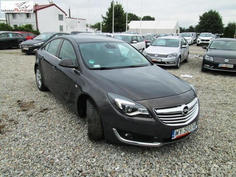 Opel 163 краска