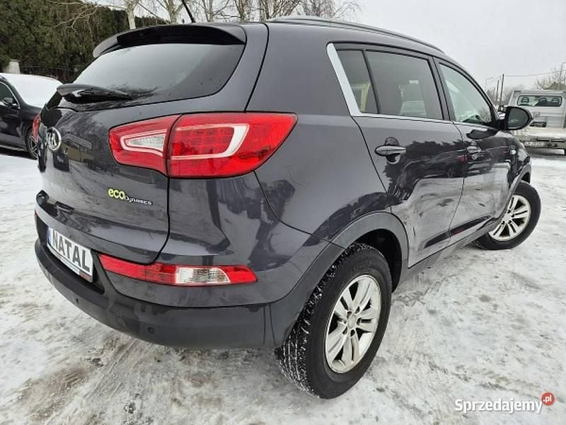 Używany Kia Sportage 2013 Szary SUV